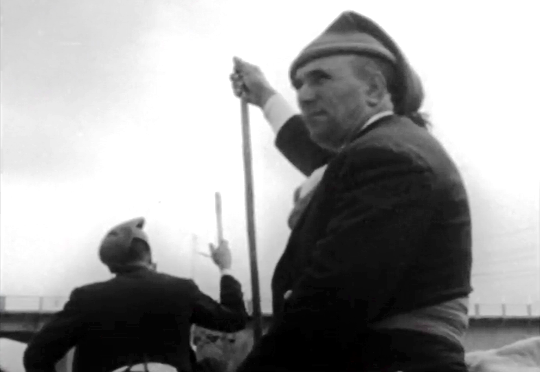 O Campino