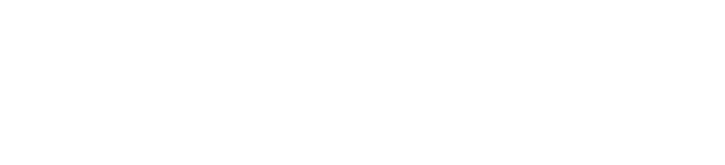Logo RTP Notícias